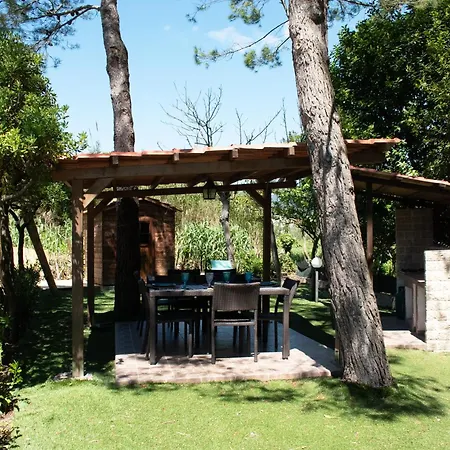 La Casetta Bamboo  50 Mt Dal Mare Incluso Ombrellone E 2 Lettini Nello Stabilimento Marcelli